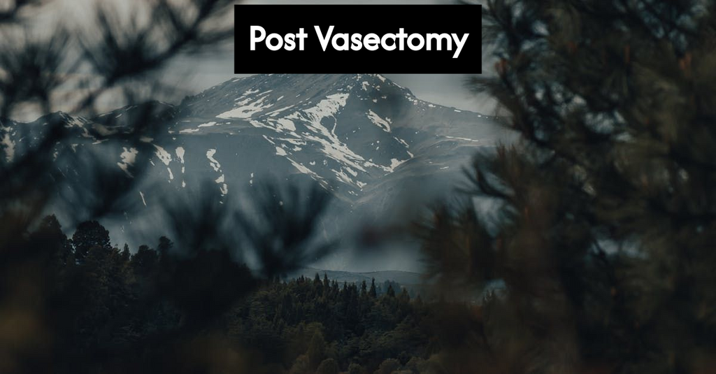 Diagram showing male reproductive anatomy with interrupted sperm path